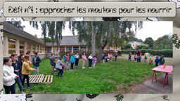 Rencontre PS MS GS B et CM1 CM2 A n°1