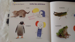 Papoum juin 3 imite les animaux