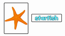 Animals (sea animals)