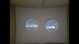Blob - Protocoles exploitation et exploration - Ecole Publique de Réguiny 