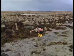Fécondation des fucus