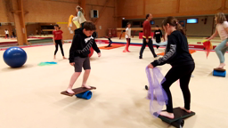 Cirque essai