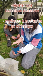 Jardin des collégiens: printemps 2022