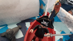 L'aventure du pirate