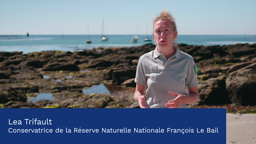 AME Groix