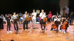 L'ensemble à cordes 