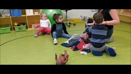 Pontivy situation tailles PS