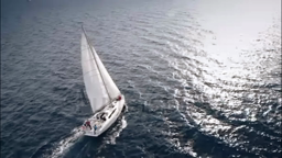 Bande annonce Plein gris