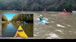 KAYAK