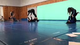 Acro 3d 24.01 3
