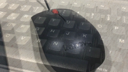 Tutoriel bureautique 5D : utiliser les caractères spéciaux du clavier