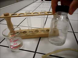 Test du dioxyde de carbone