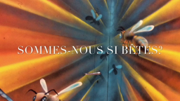 CR19- clg les gayeulles rennes- sommes-nous si bêtes