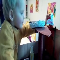 Narramus Kollet un tamm / Un peu perdu