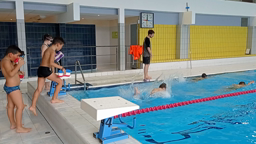 Piscine Groupe 3