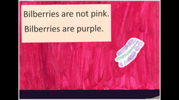 Bilberries are not pink