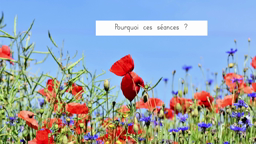 Les mots du jardin 1