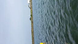 Voile 9