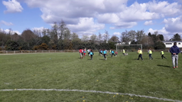 Rugby - d