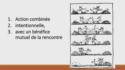 extrait 1 conférence Sylvain Connac, la coopération: définition