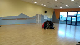 danse 4c