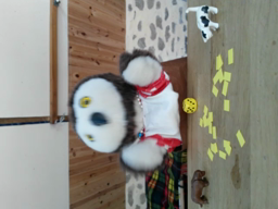 Chronique 24 : comparaison de quantités