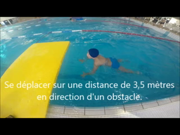 NATATION ASSN