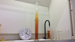 Diffusion Dibrome