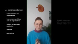DUT information Communication - Lyon