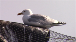 CR 2022 La Ligue de Protection des Oiseaux - 406
