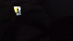 Clip Non au harcèlement Goh Lanno
