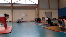 Reportage cirque