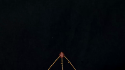 Adentro de la tierra