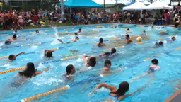 Elanora State High School