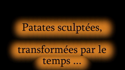 Patates sculptées transformées par le temps