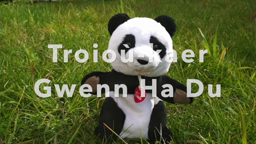Un ger bemdez gant Gwenn ha du : ar c'harr-nij