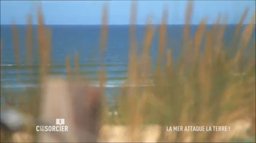 extrait_pas_sorcier_re_ensablement