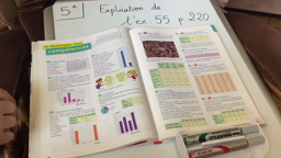 5e - ex. 55 p. 220