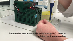 Transformation bactérienne ATB1 Fiche protocole 1