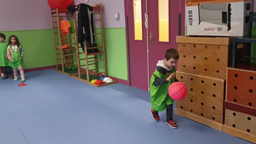 basket 5