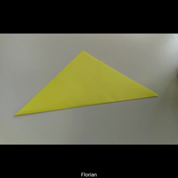 Origami Le chat vert