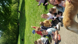 Fin de nos ateliers "musher"-juste avant la photo de groupe ...