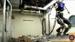 Boston dynamics