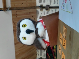 Chronique 25 : Le papillon