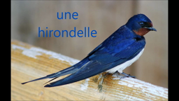 A regarder en deuxième sciences