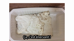 La nature sans déchet