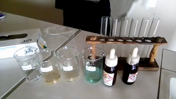 Tests de reconnaissance des ions