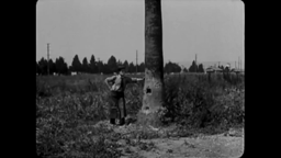 cadet d'eau douce découpage des plans d'une séquence