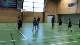 Les bleus contre les noirs