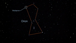 Les creusets stellaires